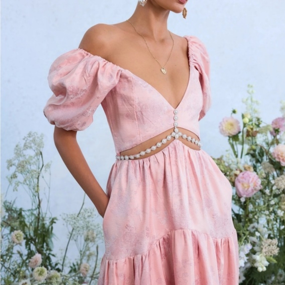 V. Chapman Pink High-Low Gown Plunge Neckline - Picture 3 of 11
